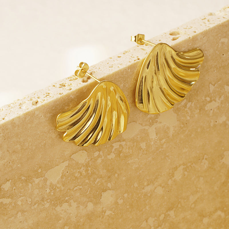 Shell Ear Studs